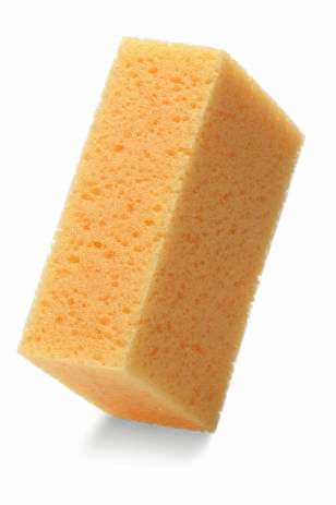 Nie znaleziono zdjęcia