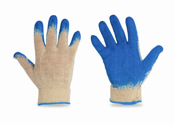 Nie znaleziono zdjęcia