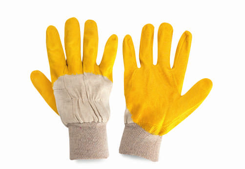 Nie znaleziono zdjęcia