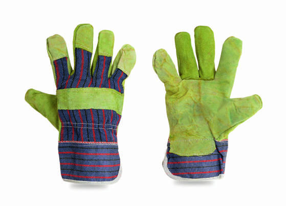 Nie znaleziono zdjęcia